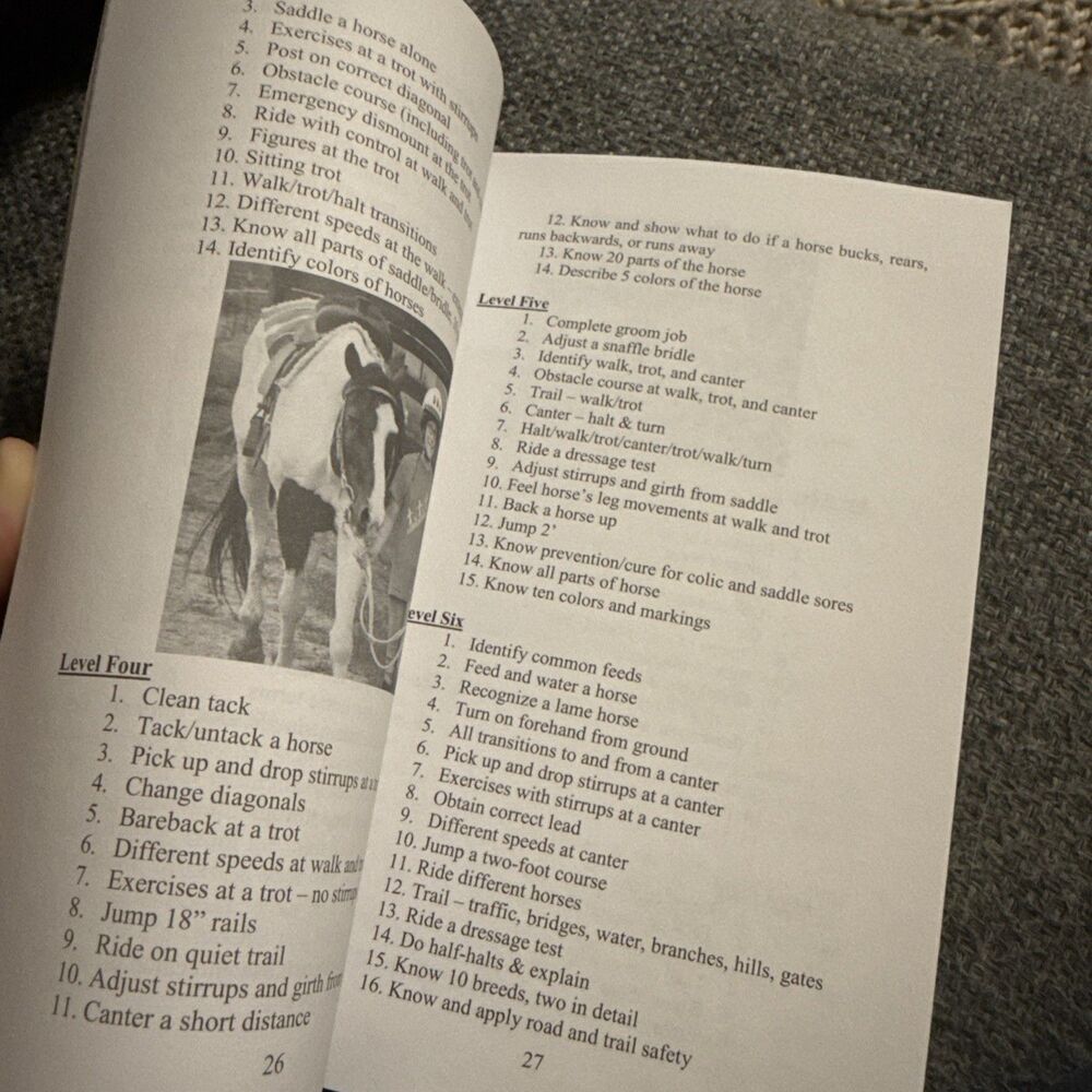 Teaching Horseback Riding Lessons - Picture 5 of 9